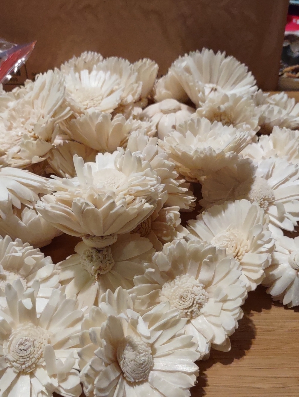 Cream Sola Wood Flowers 44 Flowers